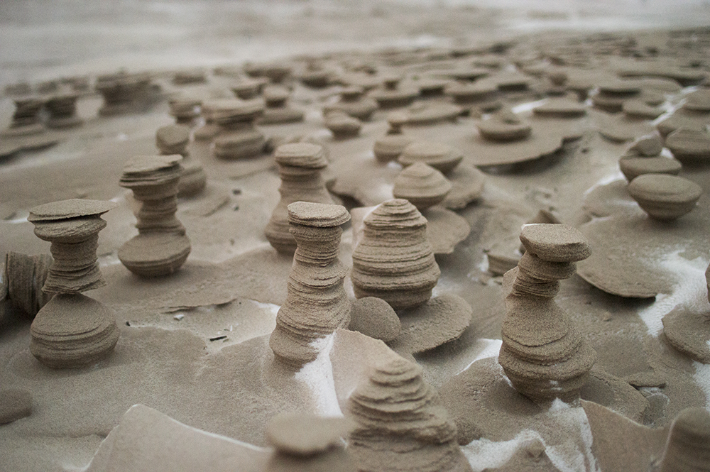 1.Tiny “Forests” of Frozen Sand “Trees” Stand on the Beach